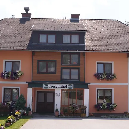 Отель Tieschnhof