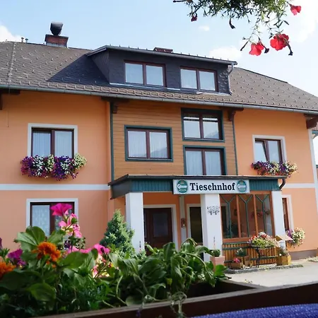Отель Tieschnhof 3*