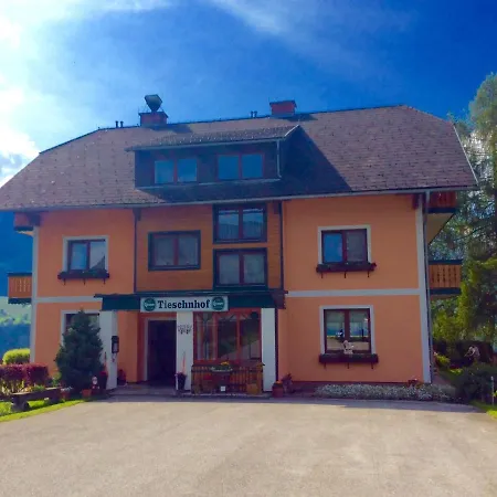 Tieschnhof 3* Грёбминг