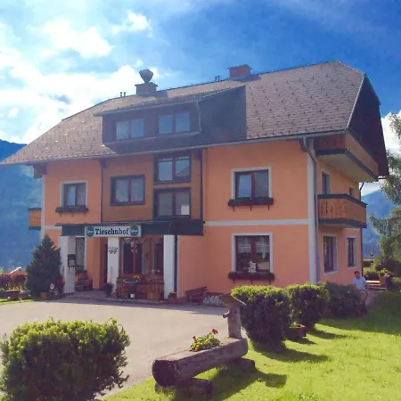 Tieschnhof Отель