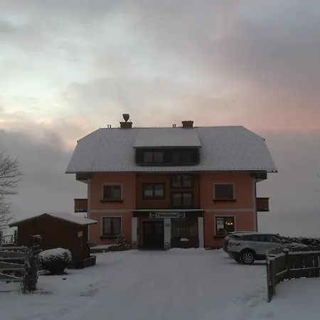 Отель Tieschnhof 3*